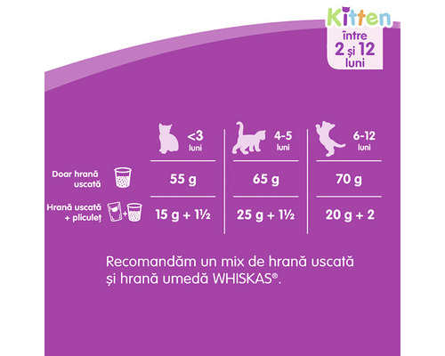 Recomandare de hrănire pentru pisoi între 2 și 12 luni