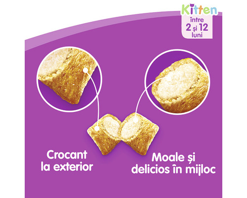 Crochete hrană pentru pisoi