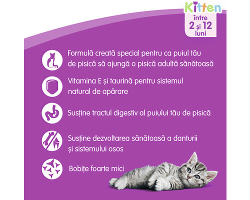 Hrană pentru pisoi cu vârste între 2 și 12 luni