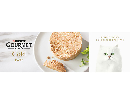 Purina Gourmet Gold Pate pentru pisici pe o farfurie