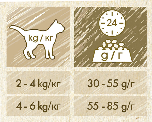 Recomandare de dozare a hranei pentru pisici în funcție de greutate și necesarul zilnic