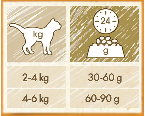 Recomandări de hrănire pentru pisici, în funcție de greutate și cantitatea de hrană
