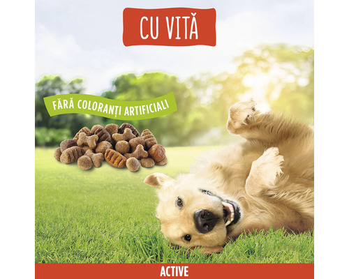 Mâncare pentru câini cu carne de vită pentru câini activi, fără coloranți artificiali.