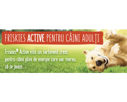 Friskies Active adult dog food