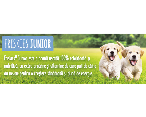 Hrană uscată pentru căței Friskies Junior cu doi căței pe o pajiște