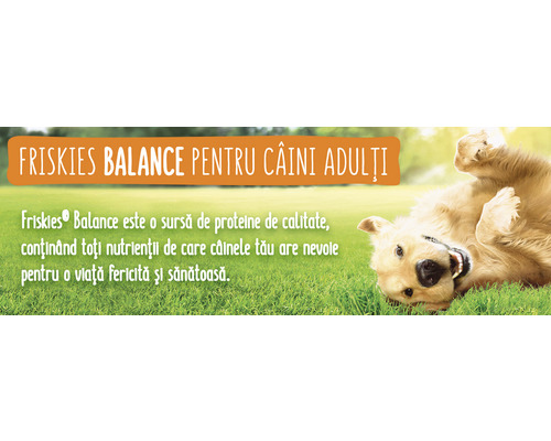 Friskies Balance hrană pentru câini adulți