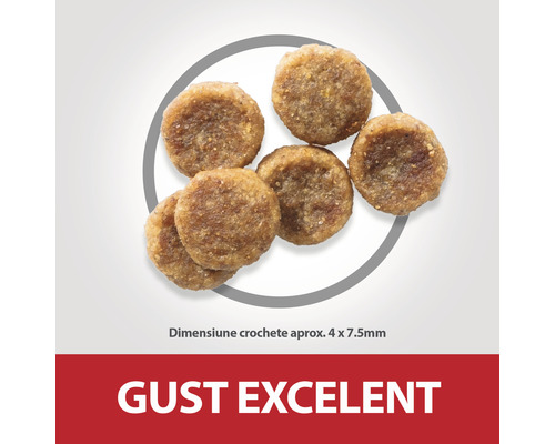 Mai multe crochete rotunde pentru câini