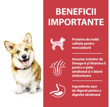 Imagine cu un câine zâmbitor lângă o listă cu beneficii importante pentru sănătate: proteine de înaltă calitate, Omega-6 și vitamina E, ingrediente ușor de digerat