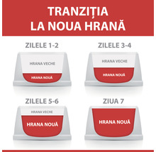 Ilustrație cu privire la tranziția alimentară pentru animale