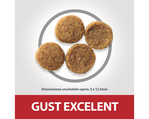 Patru bucăți de hrană uscată pentru animale prezentate circular