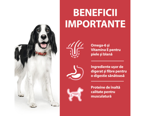 Beneficiile hranei pentru câini: Omega 6 și vitamina E pentru piele și blană, ingrediente ușor de digerat și fibre pentru o digestie sănătoasă, proteine de înaltă calitate pentru mușchi.