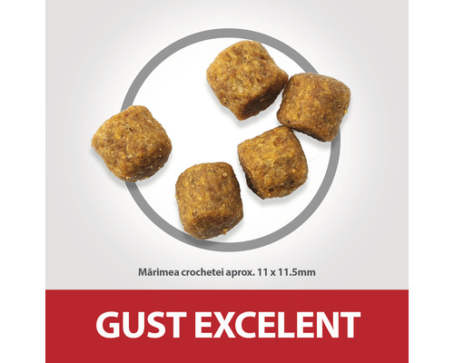 Cinci crochete pentru hrana câinilor