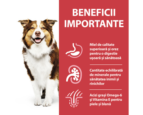 Beneficiile hranei pentru câini cu miel și orez pentru o bună digestie, sănătatea inimii și a rinichilor, precum și acizi grași Omega 6 și vitamina E pentru piele și blană.