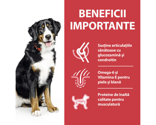 Un câine lângă un panou de informații despre produs, care evidențiază beneficiile produsului pentru articulații, piele și blană, precum și pentru mușchi.
