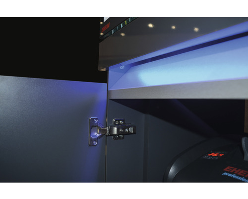 Imagine detaliată a unui dulap de acvariu cu balama de ușă și iluminare interioară