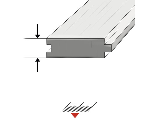 Ilustrație a unui profil cu canelură și limbă cu dimensiuni