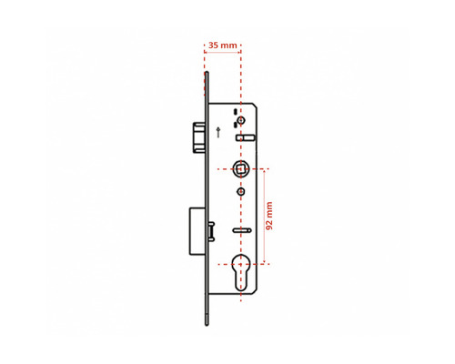 Schiță a unei broaște îngropate cu dimensiunile de 35 mm și 92 mm.