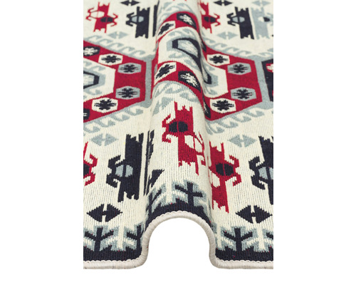 Detaliu covor cu model