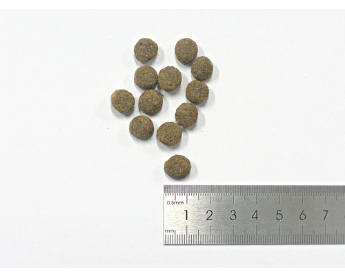 Mai multe bucăți de hrană uscată pentru animale și o riglă