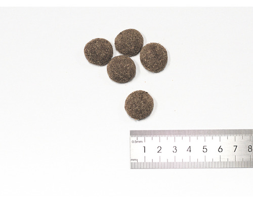 Cinci bucăți de hrană uscată pentru câini cu o riglă.