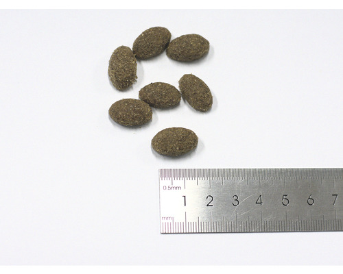 Șapte bucăți de hrană uscată cu o riglă pentru a arăta dimensiunea