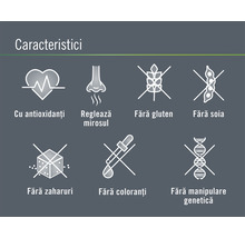 Hrana uscata pentru pisici FINEVO Adult cu pui 0,4 kg-thumb-3 Hrana uscata pentru pisici FINEVO Adult cu pui 0,4 kg-thumb-3