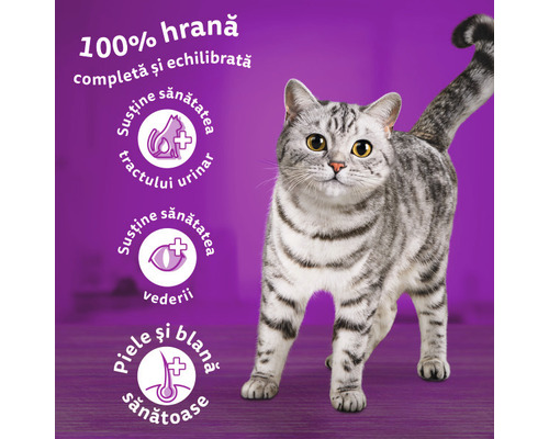 Hrană pentru pisici pentru o dietă echilibrată, cu indicații de susținere a tractului urinar, a vederii și a pielii și blănii sănătoase
