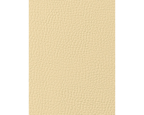 Prim-plan cu textură de piele