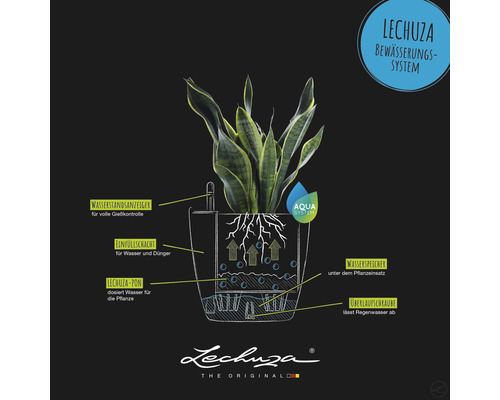 Reprezentare grafică a unui sistem de irigare Lechuza cu plantă, indicator de nivel al apei, puț de umplere, rezervor de apă și șurub de preaplin.