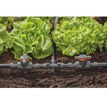Sistem de irigare grădină cu salată verde