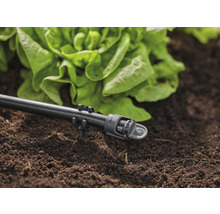 Sistem de irigare cu tub de picurare și plantă de salată în solul grădinii