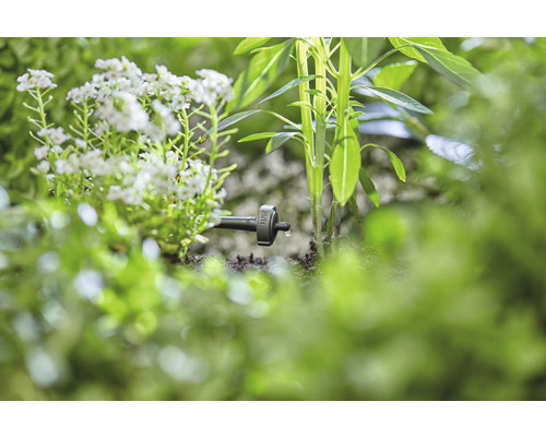 Irigare prin picurare în grădină cu plante