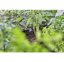 Sistem de irigare prin picurare în funcțiune între plante și pământ