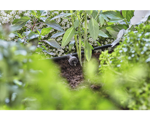 Sistem de irigare prin picurare în funcțiune între plante și pământ