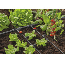 Sistem de irigare a grădinii cu salată și plante de tomate în stratul de flori