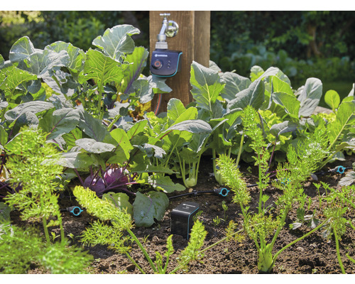 Grădină de legume cu sistem de irigare și control electronic la robinet