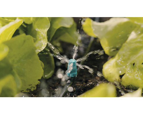 Sistem de irigare cu aspersor în uz între plantele de salată