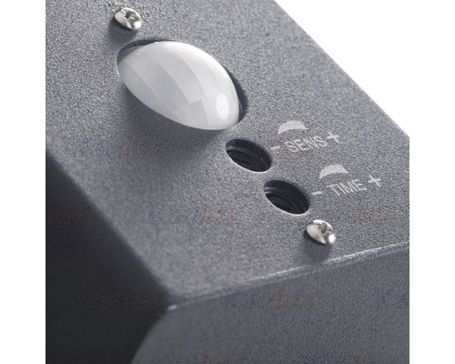 Vizualizare detaliată a unui detector de mișcare cu setare de sensibilitate și timp