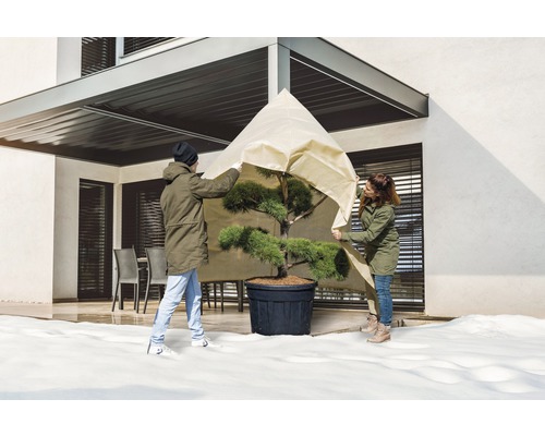 Două persoane acoperă un copac în ghiveci cu o husă de protecție în grădina de iarnă.