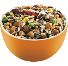 Amestec de hrană pentru păsări într-un bol