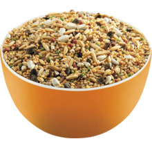 Hrană pentru păsări într-un bol