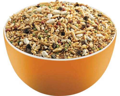 Hrană pentru păsări într-un bol