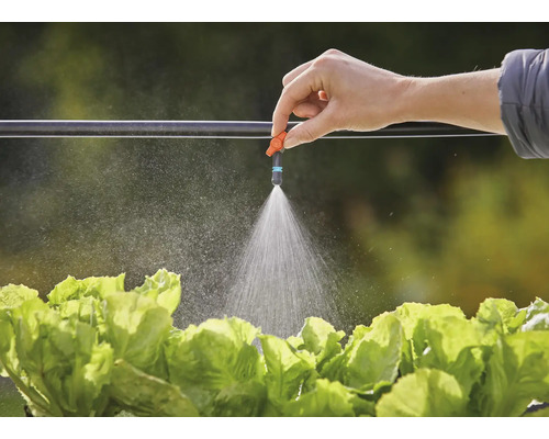 Udarea salatei cu un sistem de irigare