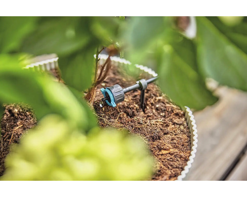 Irigare prin picurare în uz între plante