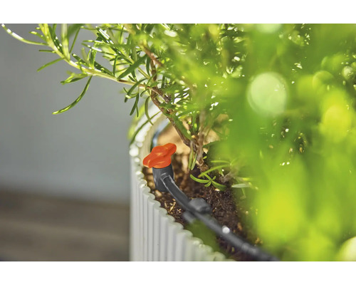 Sistem de irigare prin picurare pentru plante în ghiveci