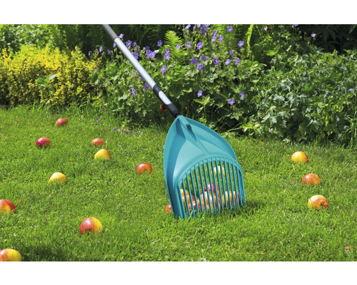 Culegător de mere adunând mere de pe un gazon