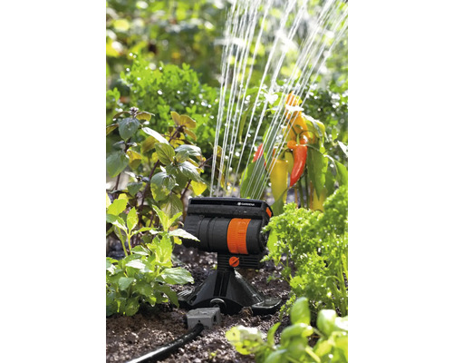 Irigare cu aspersor dreptunghiular în grădină