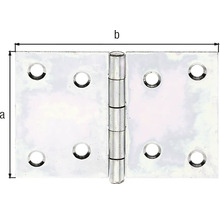 Balama fixă Alberts 90x60 mm, oțel zincat galben-thumb-3 Balama fixă Alberts 90x60 mm, oțel zincat galben-thumb-3