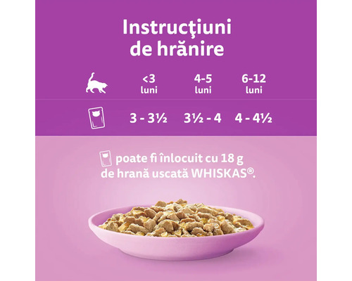 Instrucțiuni de hrănire pentru pisici prezentate într-un bol.