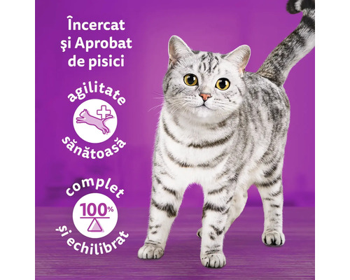 Pisică cu simbolul pentru agilitate sănătoasă și nutriție echilibrată